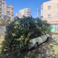 وانت تلفنی باربری حمل بار|خدمات حمل و نقل|اردبیل, |دیوار