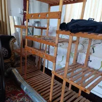 استند تمیز و سالم سایز بزرگ|گل و گیاه طبیعی|بندر ترکمن, |دیوار