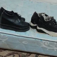 دوجفت کفش پاشنه مخفی