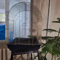 قفس عروس هلندی نو
