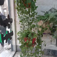 گلدان و پایه فلزی