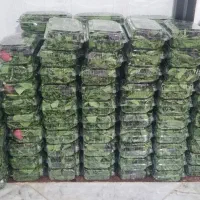سبزی خوردن بسته بندی شده