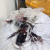 پشم بالشی کنوا