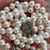 مروارید|جواهرات|تهران, گرگان|دیوار