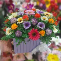 گل ودرختچه مصنوعی
