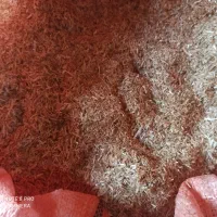 کاه گندم و کلزا