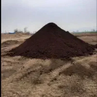 کود گاوی آماده بارگیری فقط نیسانی