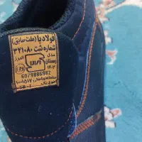 کفش ایمنی البرز