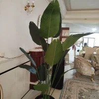 گل‌های مصنوعی وارداتی|گل مصنوعی|قم, آزادگان|دیوار