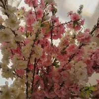 گل مصنوعی|گل مصنوعی|معصومیه, |دیوار