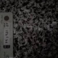 گمشده ها