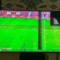 ال ای دی سامسونگ فول اچ دی ۵۵ اینچ باپنل آسیب دیده