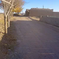 زمین برای باغ طلا|فروش زمین و ملک کلنگی|گناباد, |دیوار