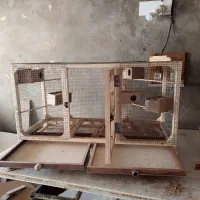 قفس شیک|لوازم جانبی حیوانات|ایذه, |دیوار