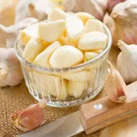 زیتون فروشی فرشاد|عمدهفروشی|ابرکوه, |دیوار