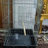 قفس پرنده|لوازم جانبی حیوانات|مرودشت, ابوذر جنوبی|دیوار