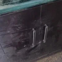 اکواریوم|ماهی|شهرضا, |دیوار