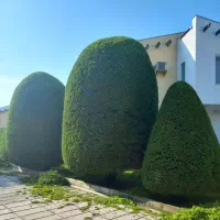 باغبانی و کارواش صنعتی