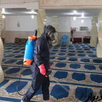 سمپاشی تخصصی سم پاشی سوسک ساس موریانه/با ضمانت|خدمات نظافت|اهواز, کمپلو شمالی|دیوار
