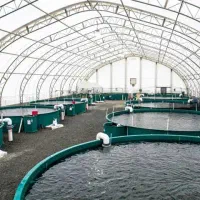 فرصت-سرمایه-گذاری-در-پرورش-ماهی-قزل-آلا-و-سالمون