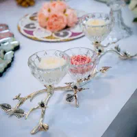 سالن عقد رشت|گردهمایی و همایش|رشت, استقامت ۱|دیوار