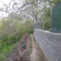 ۹۶۰ متر باغچه فروشی/جاده چالوس/نوجان|فروش خانه و ویلا|آسارا, |دیوار