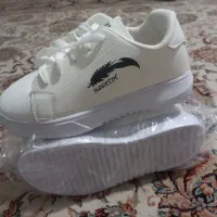 کتانی نایک|کیف، کفش، کمربند|شهریار, شهریار|دیوار