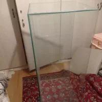 آکواریوم ریملس