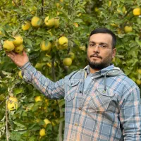 نهالستان سبز نهال رشد یوسف جوادی