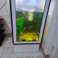 آکواریوم جنس خوب قیمت مناسب