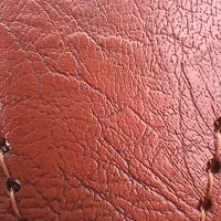 کیف پول همراه کارت ملی گمشده شده