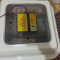 دستگاه جوجه کشی تمام اتوماتیک کره ای