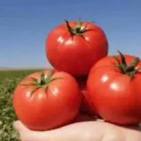 کود گیاهی|گل و گیاه طبیعی|تهران, نجات اللهی|دیوار