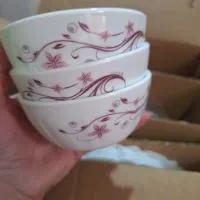 سرویس25پارچه آپال گرد|ظروف سرو و پذیرایی|رشت, یخسازی|دیوار