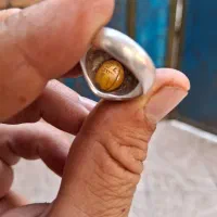 انگشتر شرف شمس|جواهرات|مشگین شهر, |دیوار