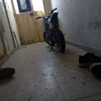 موتور مینی 70|موتورسیکلت|الیگودرز, |دیوار