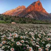 فروش منزل ویلایی