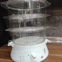 بخار پز ۱۲ لیتر پارس خزر