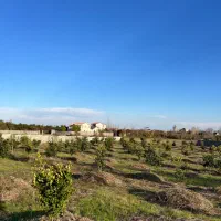 ۶۹۰۰ مترمربع زمین محصور با سندششدانگ تک برگ