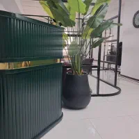 اصلاح ابرو/کوتاهی/رنگ مو/مش