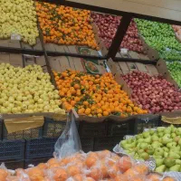 کارگر میوه فروشی