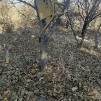 مشارکت در ساخت