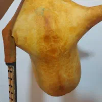 نی انبان حرفه ای بدون بو و بدون نیاز ب چرب شدن