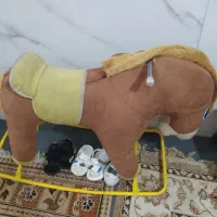 اسب الکنگی