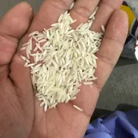 برنج پاکستانی درجه ۱