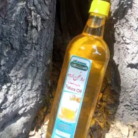 محصولات کنجدی شبــاویــز