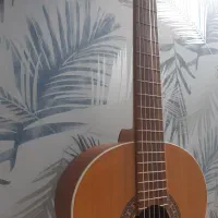 گیتار|گیتار، بیس، امپلیفایر|مشهد, امیریه|دیوار