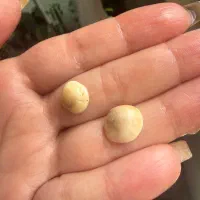 مهره اصلی شانس رزق روزی پر انرژی