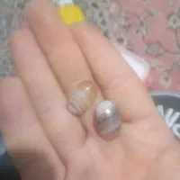 مهره سلیمانی