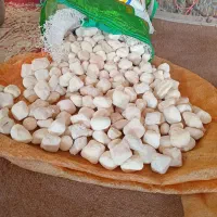 کشک گوسفندی